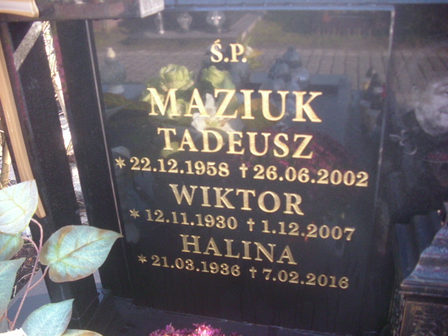Tadeusz Maziuk 1958 Chrzanów - Grobonet - Wyszukiwarka osób pochowanych