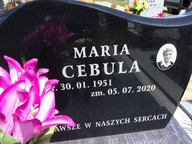 Maria Cebula 1951 Chrzanów - Grobonet - Wyszukiwarka osób pochowanych